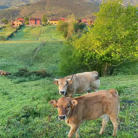 Casa La Xana Del Valle Chalet Llanes